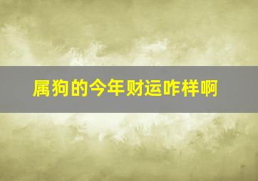 属狗的今年财运咋样啊