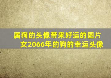 属狗的头像带来好运的图片女2066年的狗的幸运头像