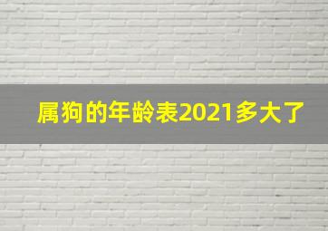 属狗的年龄表2021多大了