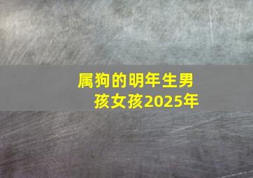 属狗的明年生男孩女孩2025年