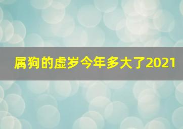 属狗的虚岁今年多大了2021