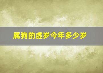 属狗的虚岁今年多少岁