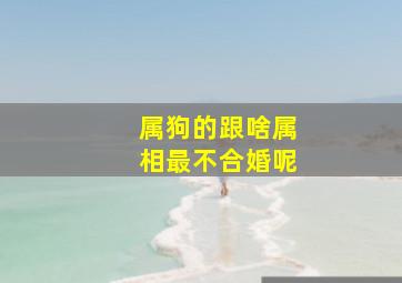 属狗的跟啥属相最不合婚呢