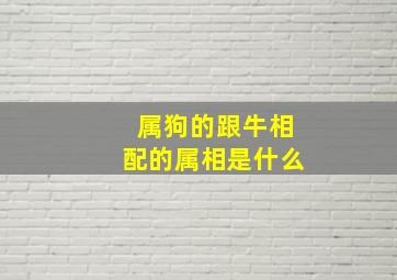 属狗的跟牛相配的属相是什么