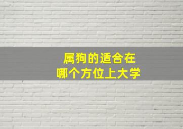 属狗的适合在哪个方位上大学