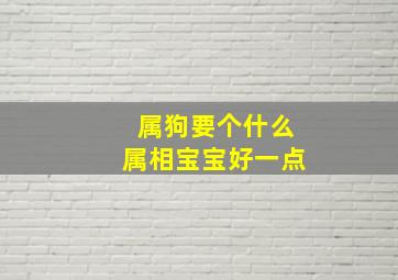 属狗要个什么属相宝宝好一点