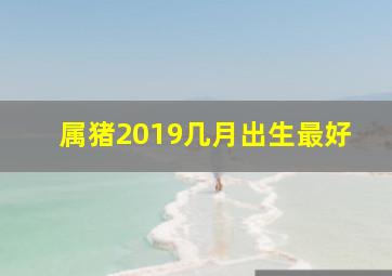 属猪2019几月出生最好