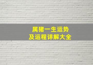 属猪一生运势及运程详解大全