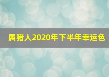 属猪人2020年下半年幸运色