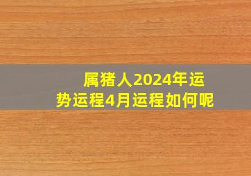 属猪人2024年运势运程4月运程如何呢