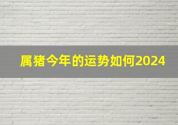 属猪今年的运势如何2024