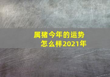 属猪今年的运势怎么样2021年