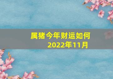 属猪今年财运如何2022年11月