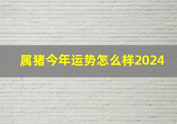 属猪今年运势怎么样2024