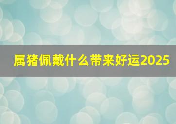 属猪佩戴什么带来好运2025