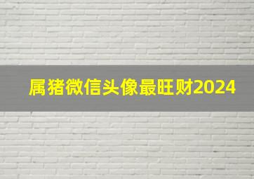 属猪微信头像最旺财2024