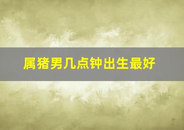 属猪男几点钟出生最好