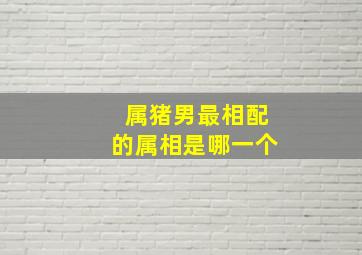 属猪男最相配的属相是哪一个