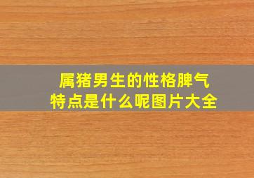 属猪男生的性格脾气特点是什么呢图片大全