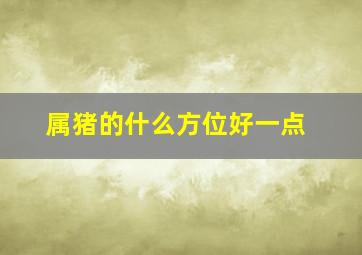 属猪的什么方位好一点