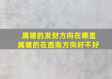 属猪的发财方向在哪里属猪的在西南方向好不好