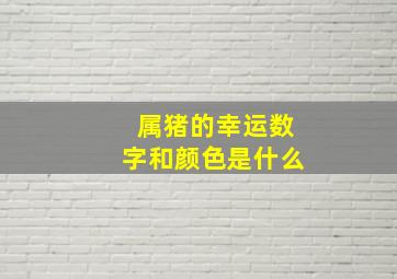 属猪的幸运数字和颜色是什么