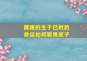 属猪的生于巳时的命运如何呢男孩子