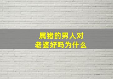 属猪的男人对老婆好吗为什么