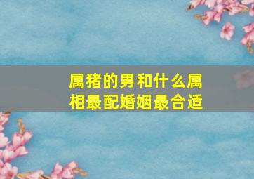 属猪的男和什么属相最配婚姻最合适