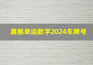 属猴幸运数字2024车牌号