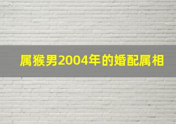 属猴男2004年的婚配属相