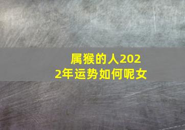 属猴的人2022年运势如何呢女