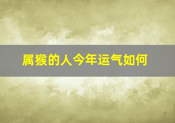 属猴的人今年运气如何