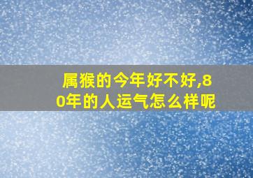 属猴的今年好不好,80年的人运气怎么样呢