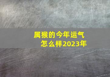 属猴的今年运气怎么样2023年