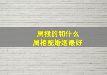 属猴的和什么属相配婚姻最好