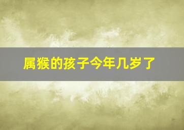 属猴的孩子今年几岁了