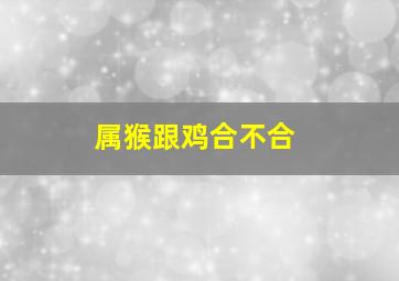 属猴跟鸡合不合