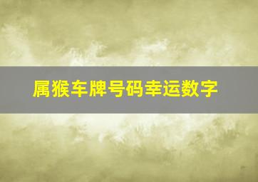 属猴车牌号码幸运数字