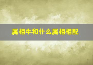 属相牛和什么属相相配