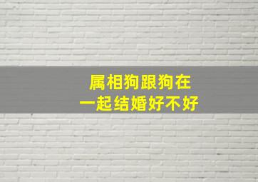 属相狗跟狗在一起结婚好不好