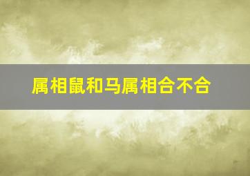 属相鼠和马属相合不合