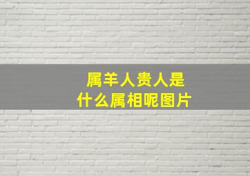 属羊人贵人是什么属相呢图片