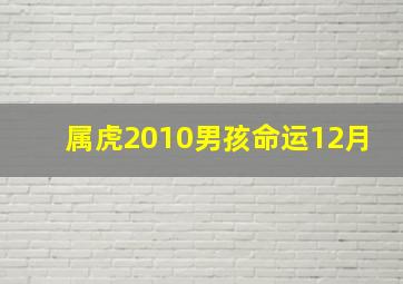 属虎2010男孩命运12月