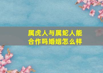 属虎人与属蛇人能合作吗婚姻怎么样