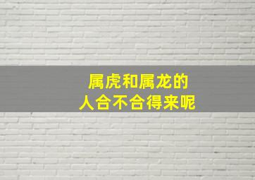 属虎和属龙的人合不合得来呢