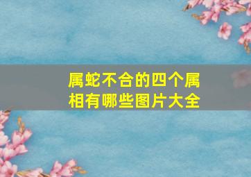 属蛇不合的四个属相有哪些图片大全