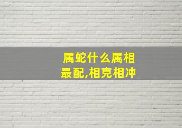 属蛇什么属相最配,相克相冲