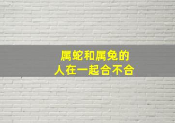 属蛇和属兔的人在一起合不合