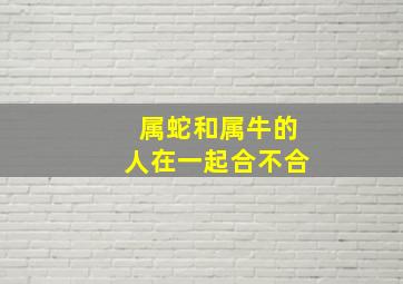 属蛇和属牛的人在一起合不合